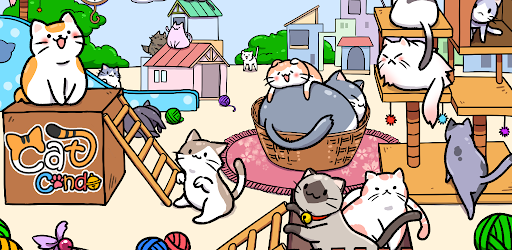 Cat Condo