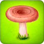 Forest Clans
