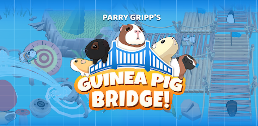 Guinea Pig Bridge!