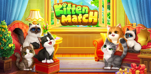 Kitten Match