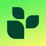 Lifesum: AI Calorie Tracker