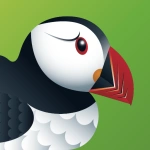 Puffin Flash Browser