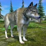 Wolf Simulator - Animal Games Wolf Simulator - Animal Games