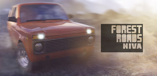 Forest Roads. Niva