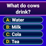 Millionaire 2026 Quiz & Trivia