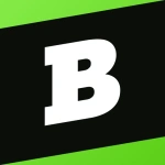Brainly: AI Homework Helper