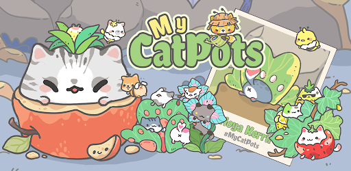 My CatPots