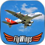 Flight Simulator Paris 2015 HD