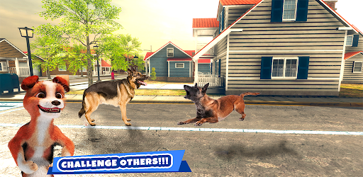 Dog Simulation - Puppy life