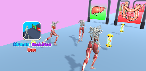 Human Evolution Run