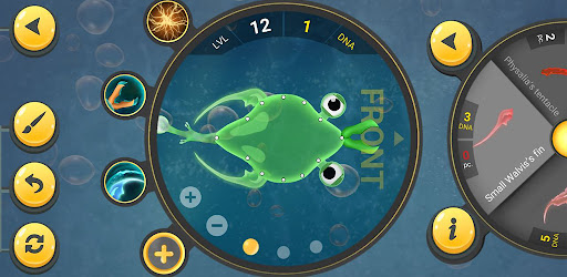 Spore Evolution–Microbes World