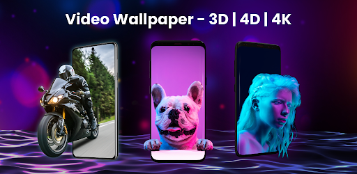 Video Live Wallpapers