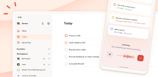 Todoist: To Do List & Calendar