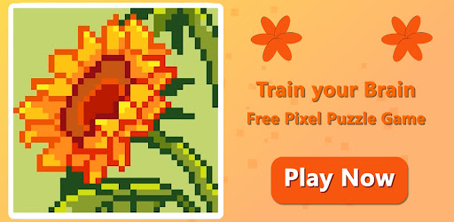 BLOCK PIXEL