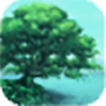 The Tree