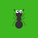 Great Ant Adventure