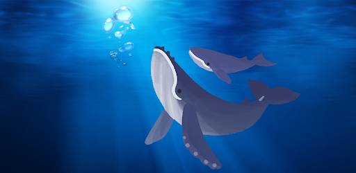 Room Escape Game:CAFE AQUARIUM