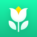 Plant Parent: Plant Care Guide
