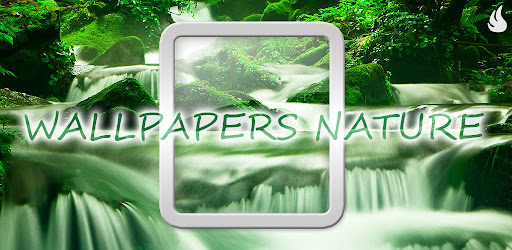 Wallpapers Nature