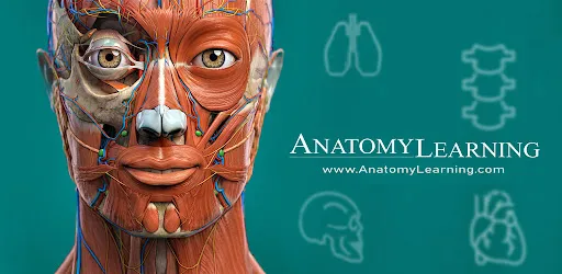 Anatomy Learning - 3D Anatomy