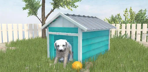 Build It: Craft Сonstruction
