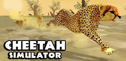 Cheetah Simulator