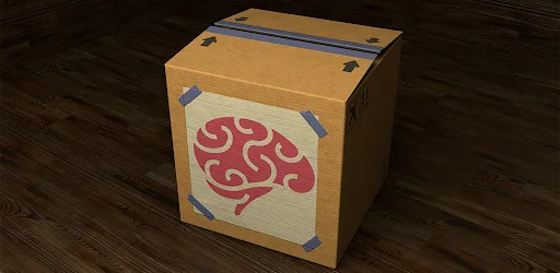 Inside the Box