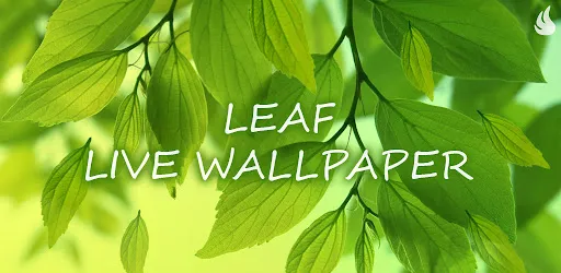 Leaf Live Wallpaper