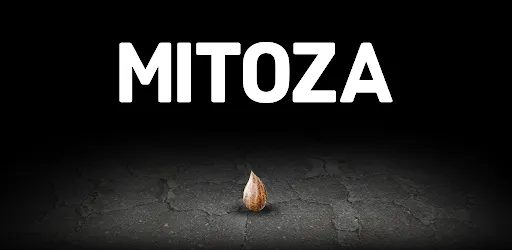 Mitoza
