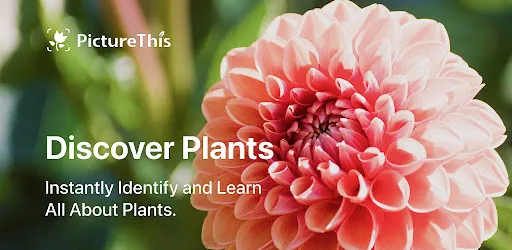 PictureThis - Plant Identifier