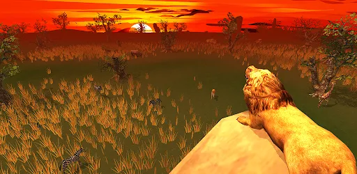 Safari Simulator: Lion