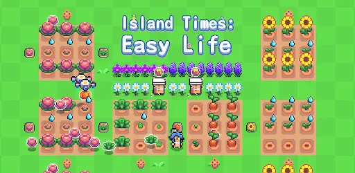 Island Times: Easy Life